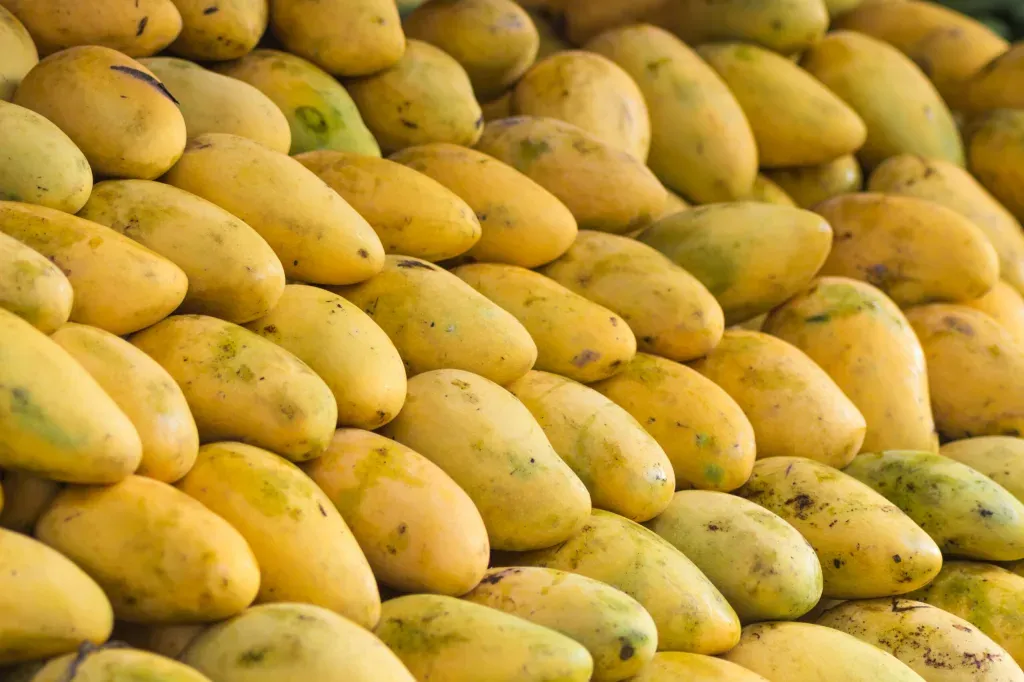 Chemically Ripened Mangoes in Hyderabad