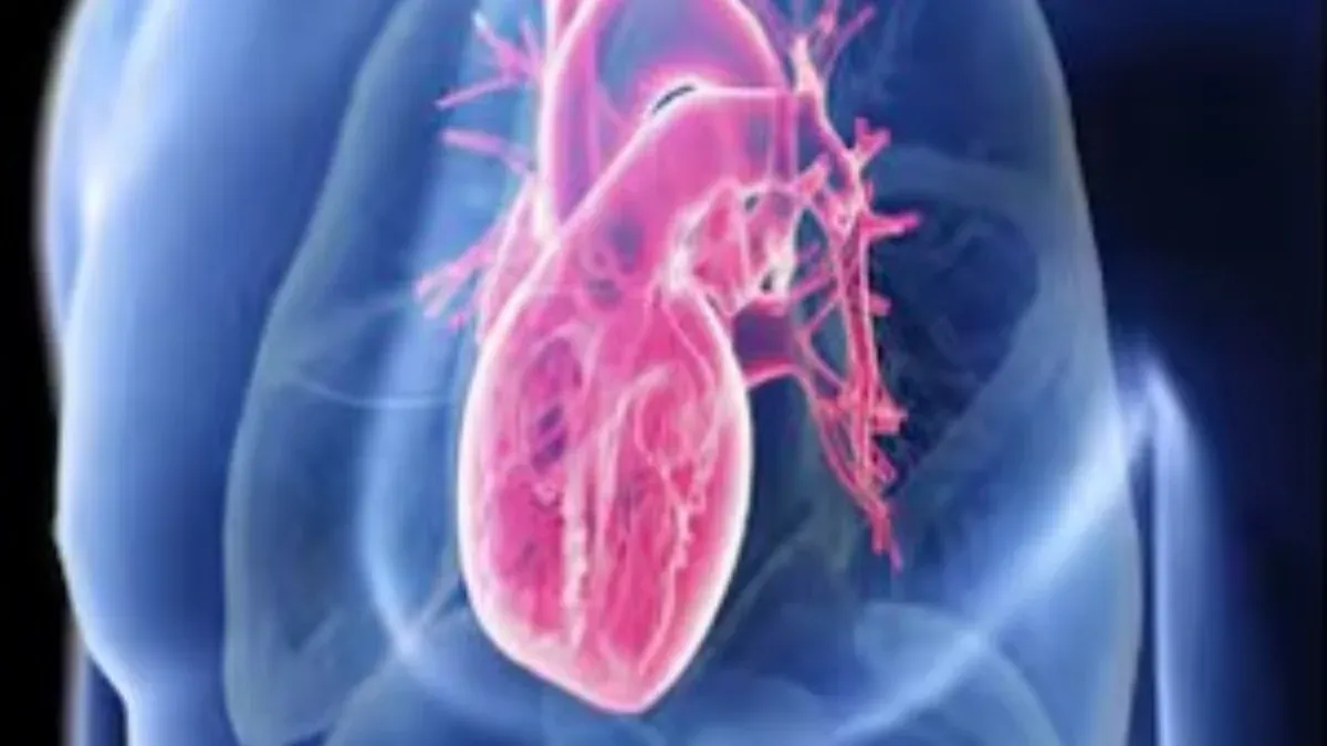 publive-image