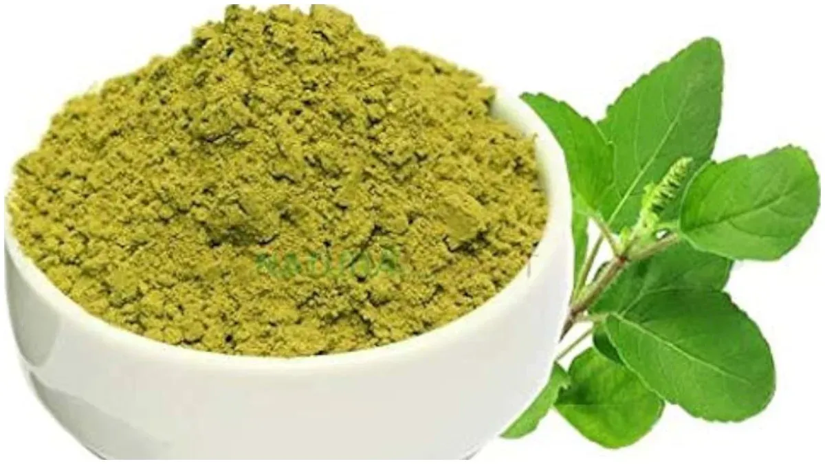 Tulsi Benefits For Hair