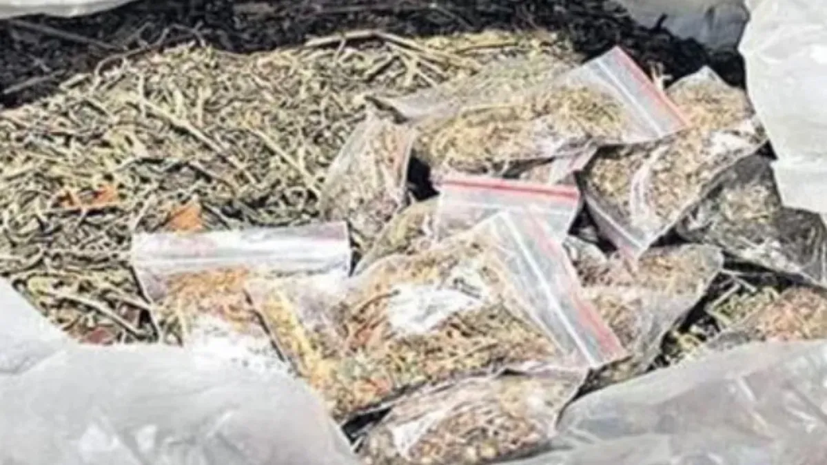 Hyderabad : అమెజాన్ పార్సిల్‌లో గంజాయి కలకలం.. ఇద్దరు విద్యార్థులు అరెస్ట్