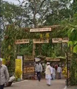 jungle theme poling station