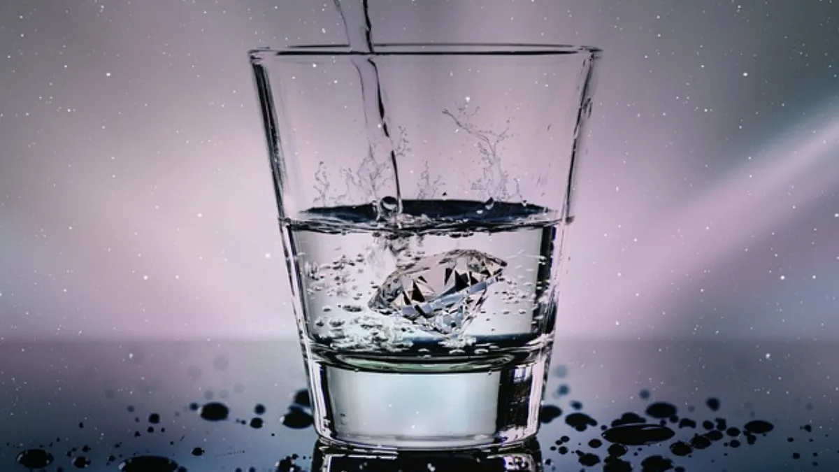 publive-image