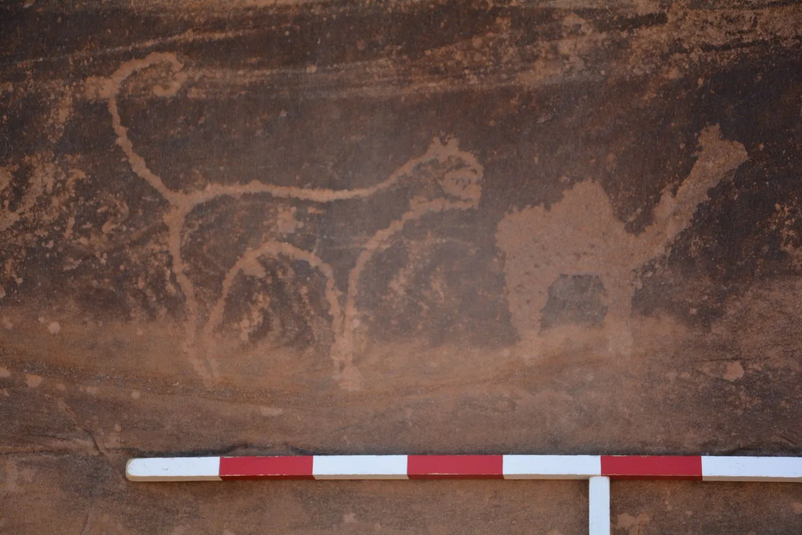 Discover AlUla's New Eco-Friendly Attraction