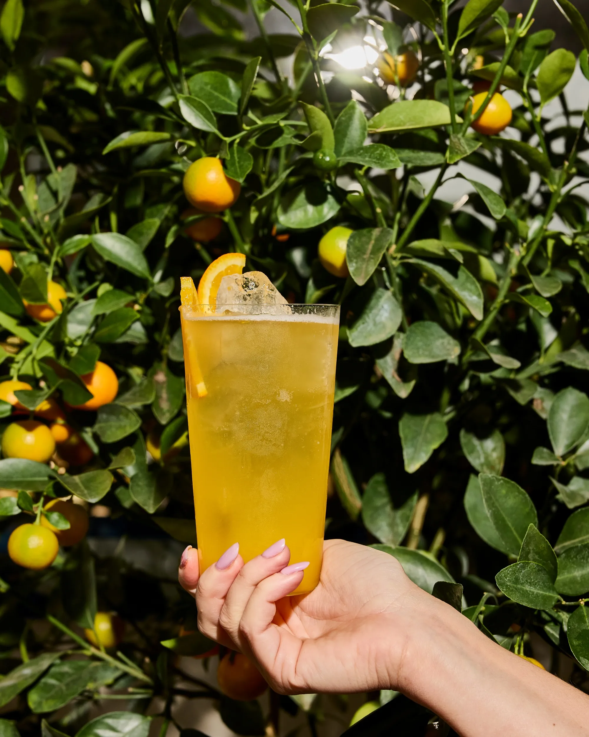 Leonessa: New Rooftop Bar in NYC