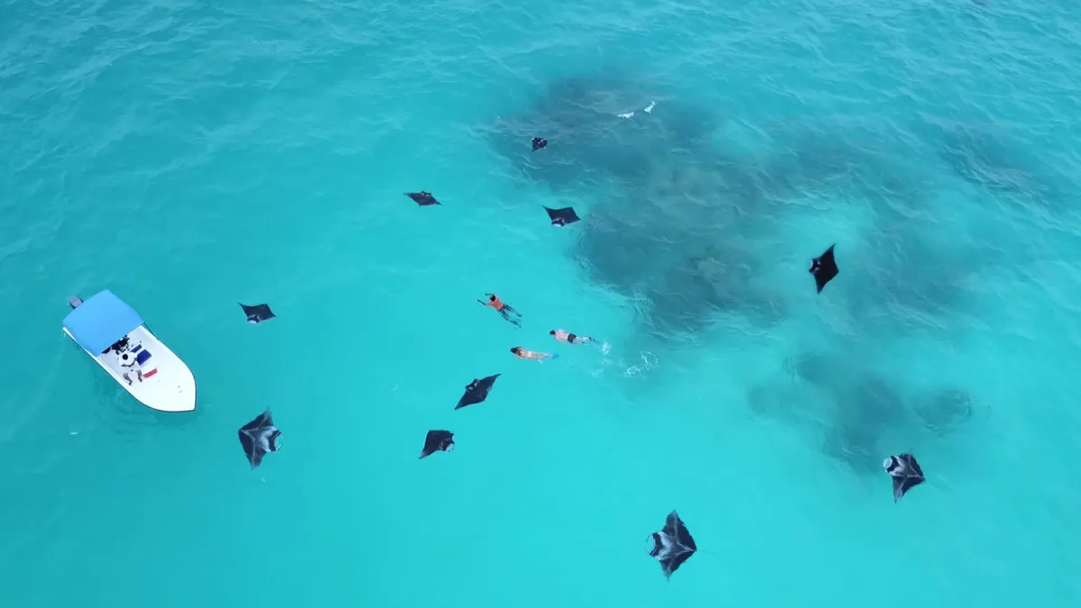 Surfing in Maldives