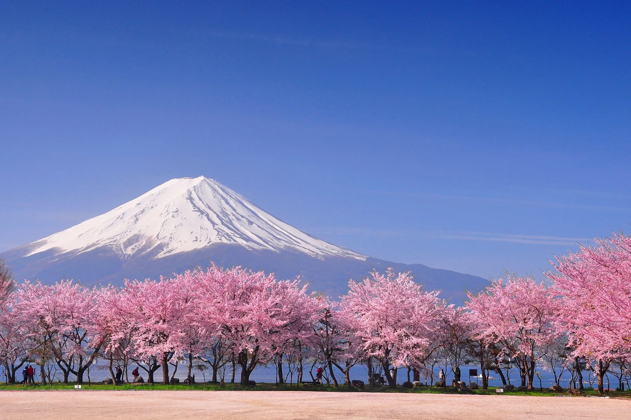 Mt Fuji