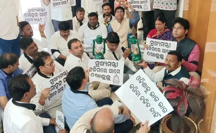bjd