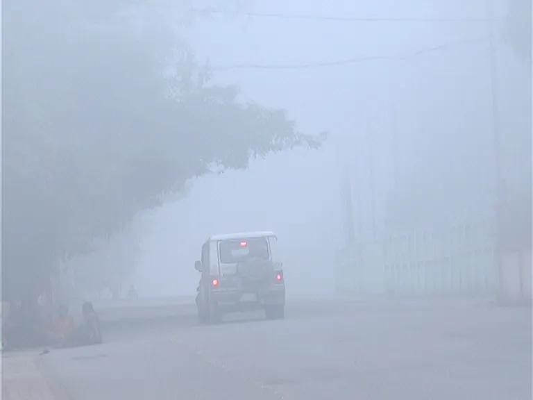 fog 1