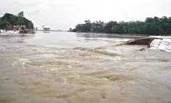 flood