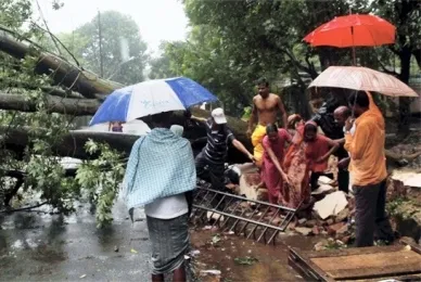 Cyclone_Phailin_Bhubanewshwar_trees_fell_PTI_630