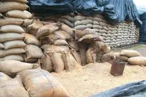 paddy godown