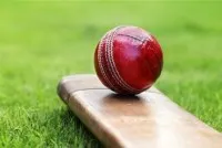 cricket