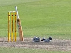 cricket