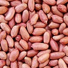 groundnut-seeds