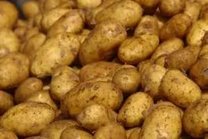potato