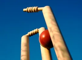 Cricket