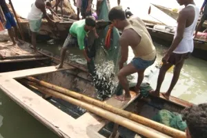 chilika-fishing shot
