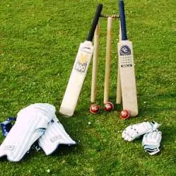 cricket 1