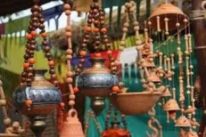 toshali fest