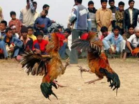 (pic courtesy : scarecrowtourismbd.weebly.com)