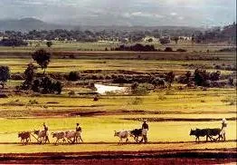 Land Acquisition