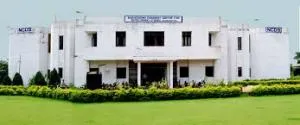 ncds