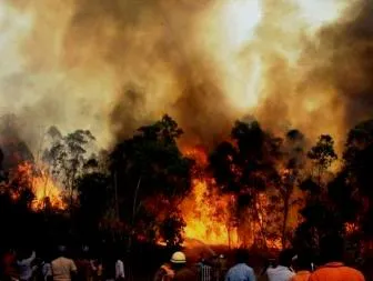 The forest fire in Tirumala (Photo: IANS)