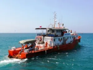 Looking for the missing Malaysia Airliner ( pic source : thestar.com)