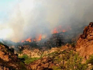 (140422) -- QINHUANGDAO, April 22, 2014 (Xinhua) -- Fire is seen at a forest fire site in Xingxingyu village of Funing county, north China's Hebei Province, April 22, 2014. More than 500 rescuers have been sent to put out the forest fire, which occurred here on Monday afternoon.  (Xinhua/Yang Shirao) (wyo)