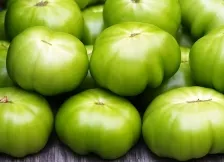 green-tomatoes