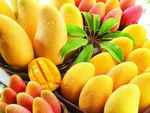 mangoes