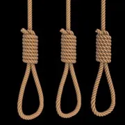 noose