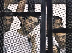 Al Jazeera Journalists