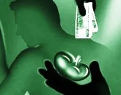Kidney-selling large