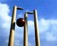 cricket