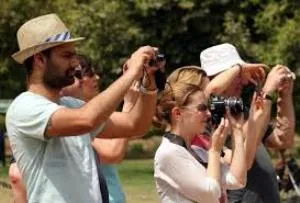 tourists