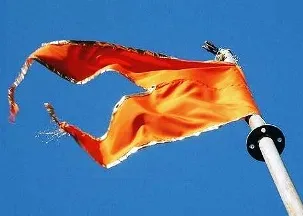RSS SAFFRON FLAG