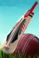 cricket