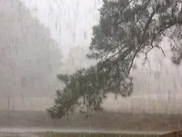 rain