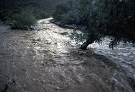 Flood