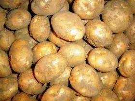 Potato