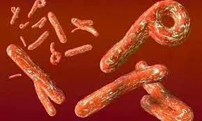 Ebola Virus