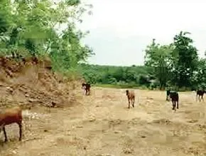 Controversial road to controversial plots