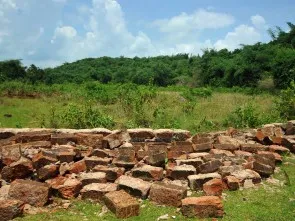 Illegally occupied land in Ghangapatna (Pic- Biswaranjan  Mishra)