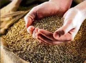 Food Security
