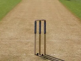 Cricket pitch