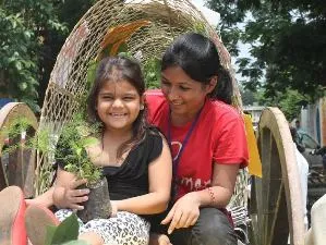 Bakul Tree 1