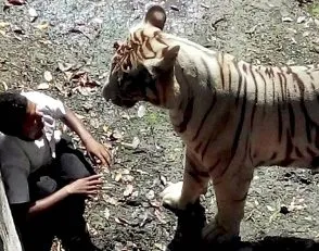 Moment before the youth was mauled to death ( source- hindustantimes.com)