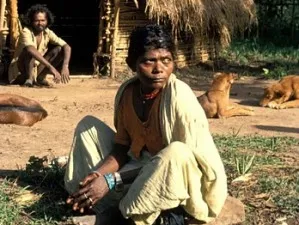source: tribal.info /pic credit-Sathya Mohan