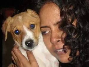 (courtesy:diwalifor desidogs.yolasite.com)